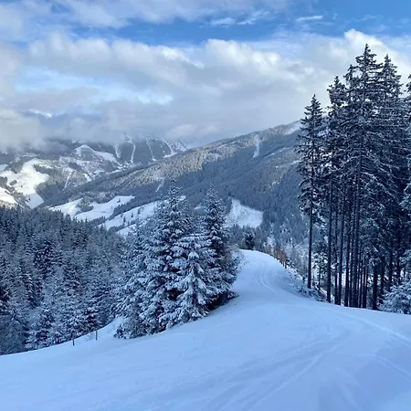 Bianca 1 By Smr - Inc And Near Gondola * Rauris