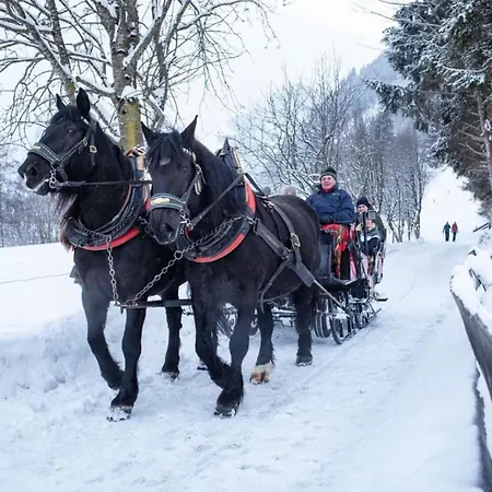 Apartamento Bianca 1 Rauris