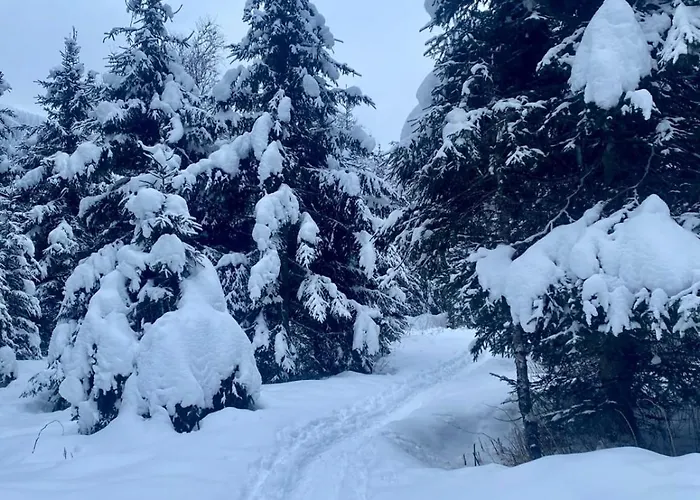 Bianca 1 Lägenhet *