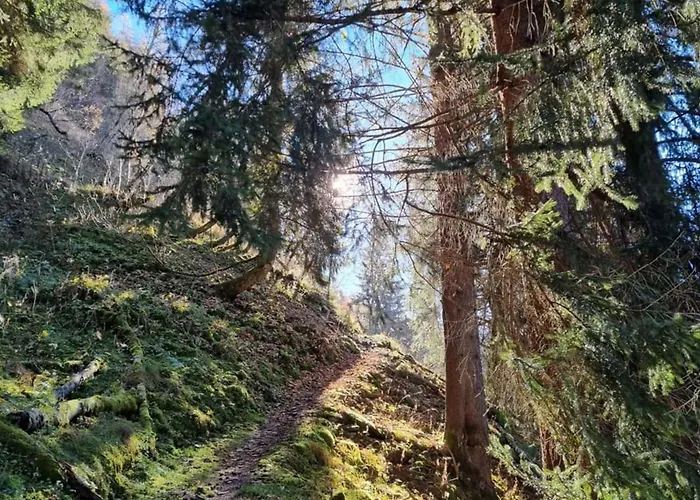 Lägenhet Bianca 1 *